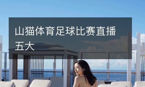 山貓?bào)w育足球比賽直播五大