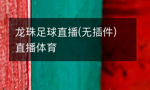 龍珠足球直播(無(wú)插件)直播體育
